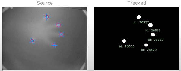 Fingers being tracked in CCV