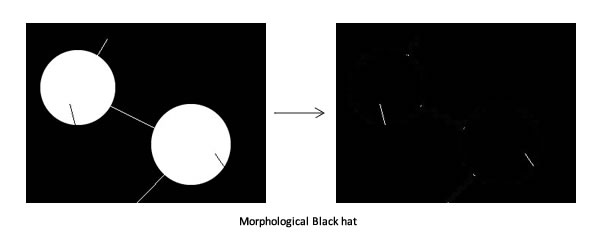 Black Hat: Highlights the narrow black regions in the image