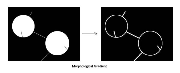 Morphological Gradient: Note that this highlights all the edges