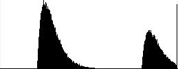 Histogram with a gamma noised image